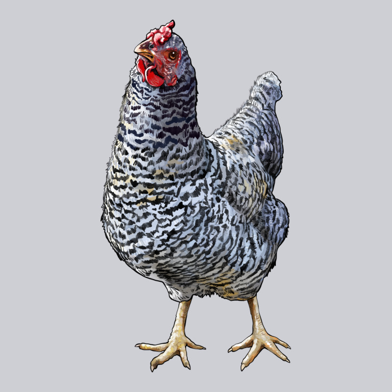 Dominique Chicken Heavyweight Sweatshirt by LillyAllenDesigns | Teevron