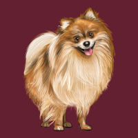 Pomeranian Dog Illustrations Classic Tee | Teevron
