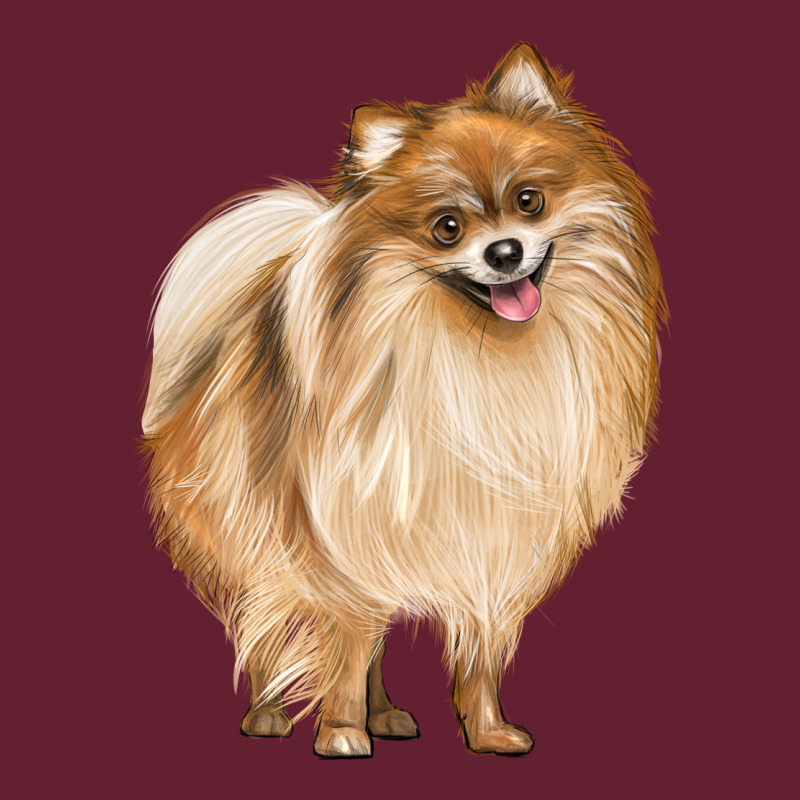 Pomeranian Dog Illustrations Classic Tee by LillyAllenDesigns | Teevron