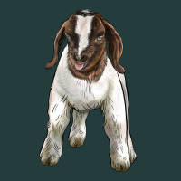 Baby Boer Goat Classic Tee | Teevron