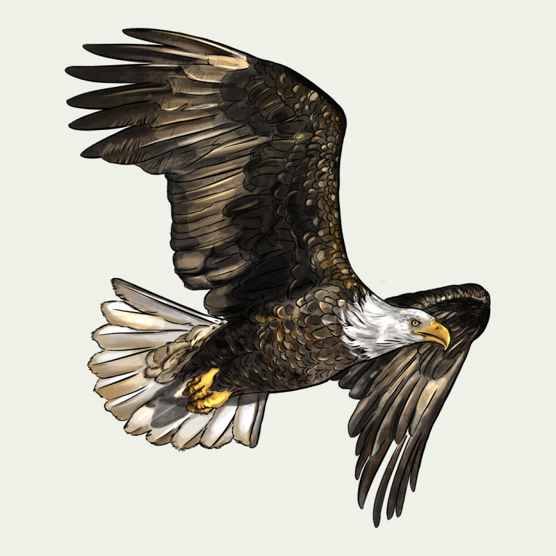 White Headed Eagle Urban Heavy Tee by LillyAllenDesigns | Teevron