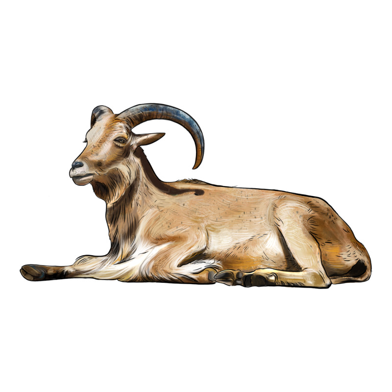 Spanish Goat Classic Tee by LillyAllenDesigns | Teevron