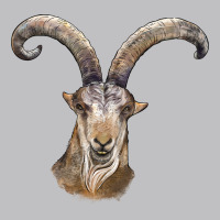 Spanish Goat Face Classic Tee | Teevron