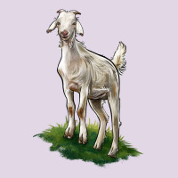 Kiko Goat Classic Tee | Teevron
