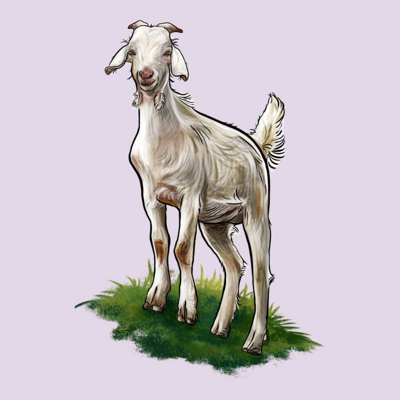 Kiko Goat Classic Tee by LillyAllenDesigns | Teevron