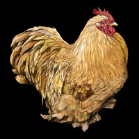 Cochin Rooster Heavyweight Sweatshirt | Teevron