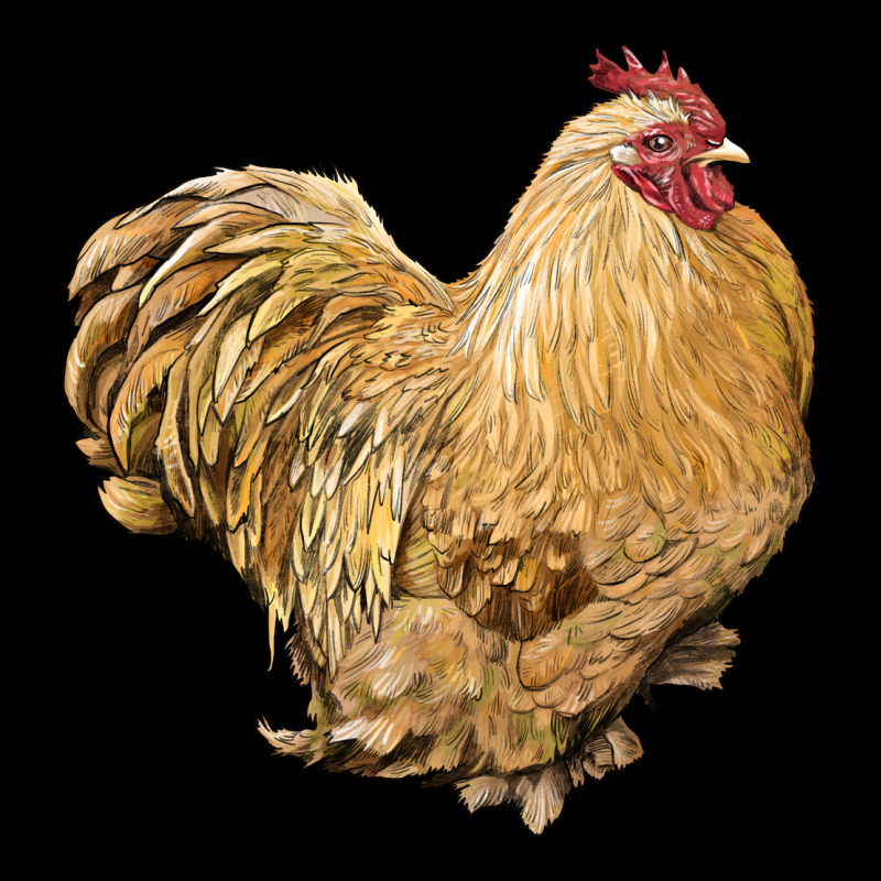 Cochin Rooster Heavyweight Sweatshirt by LillyAllenDesigns | Teevron