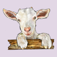 Baby Cashmere Goat Classic Tee | Teevron