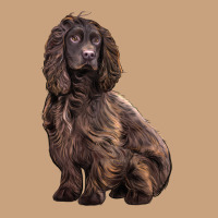Boykin Spaniel Dog Vintage Tee | Teevron