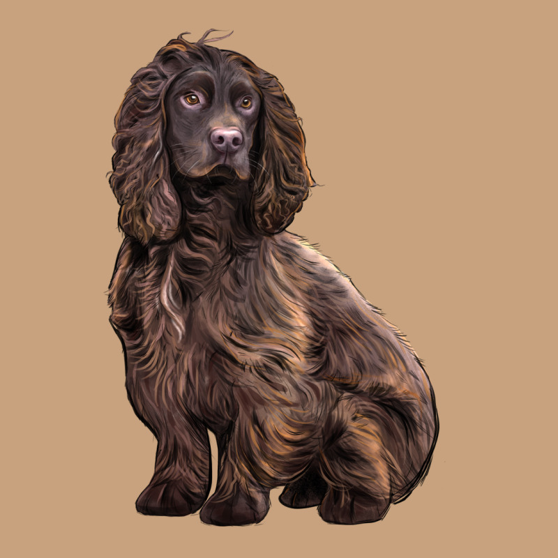 Boykin Spaniel Dog Vintage Tee by LillyAllenDesigns | Teevron