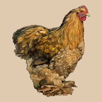 Cochin Chicken Heavyweight Sweatshirt | Teevron