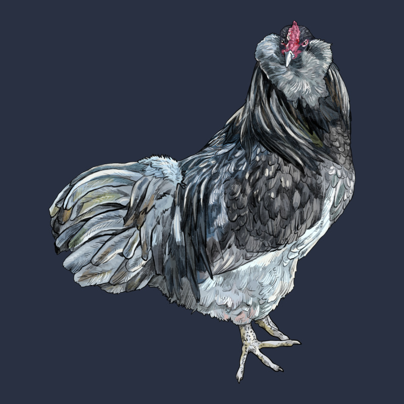 Ameraucana Rooster Heavyweight Sweatshirt by LillyAllenDesigns | Teevron