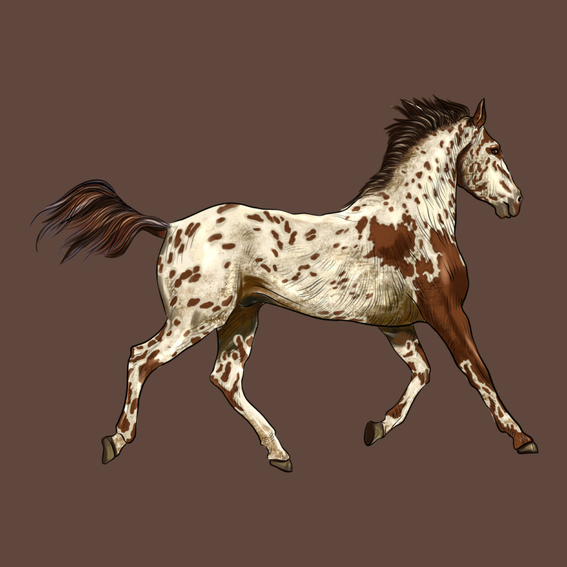 Appaloosa Horse Classic Tee by LillyAllenDesigns | Teevron