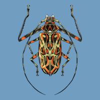 Acrocinus Beetle Illustrations Urban Heavy Tee | Teevron