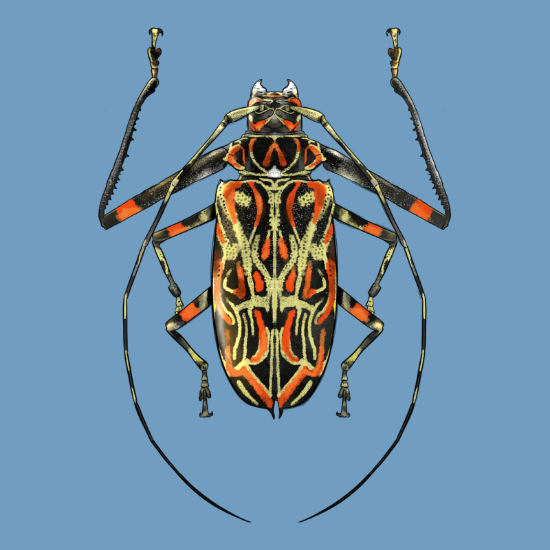 Acrocinus Beetle Illustrations Urban Heavy Tee by LillyAllenDesigns | Teevron