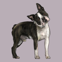 Boston Terrier Vintage Tee | Teevron