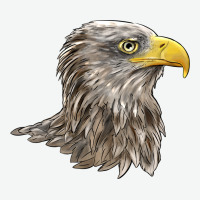 American White Sea Eagle Head Urban Heavy Tee | Teevron