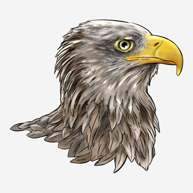 American White Sea Eagle Head Urban Heavy Tee by LillyAllenDesigns | Teevron