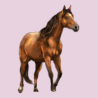 Quarter Horse Classic Tee | Teevron