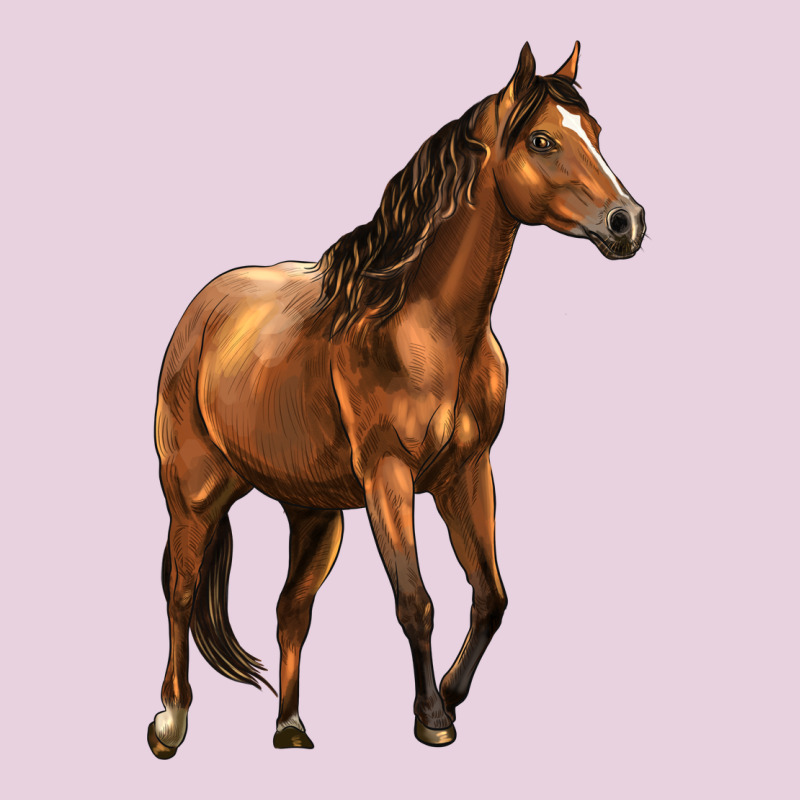 Quarter Horse Classic Tee by LillyAllenDesigns | Teevron