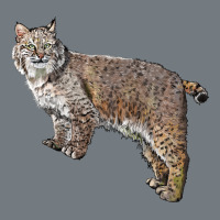 Bobcat Heavyweight Sweatshirt | Teevron