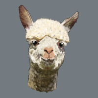 Alpaca Head Heavyweight Sweatshirt | Teevron