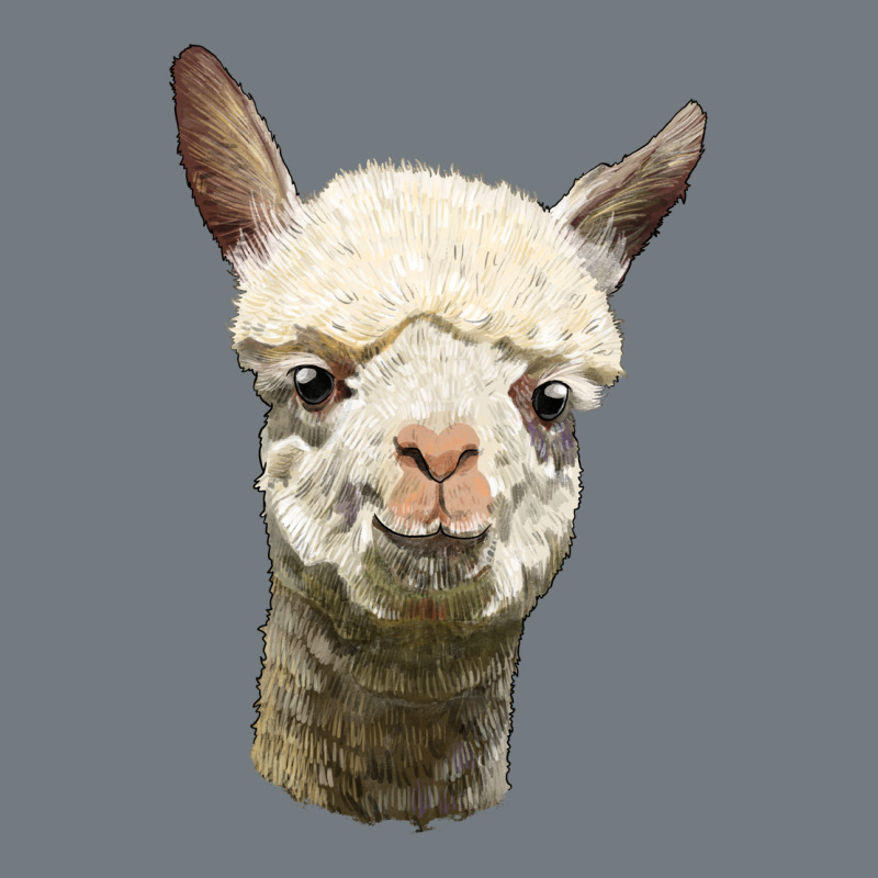 Alpaca Head Heavyweight Sweatshirt by LillyAllenDesigns | Teevron