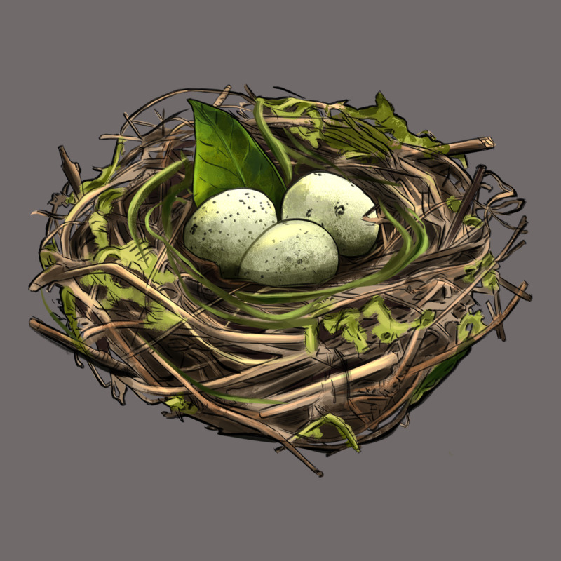 Bird Nest With Eggs Urban Heavy Tee by LillyAllenDesigns | Teevron