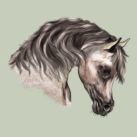 Arabian Horse Classic Tee | Teevron