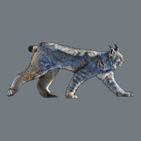 Canada Lynx Heavyweight Sweatshirt | Teevron