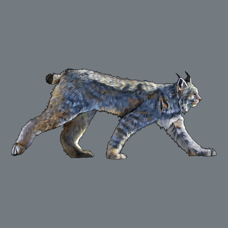 Canada Lynx Heavyweight Sweatshirt by LillyAllenDesigns | Teevron
