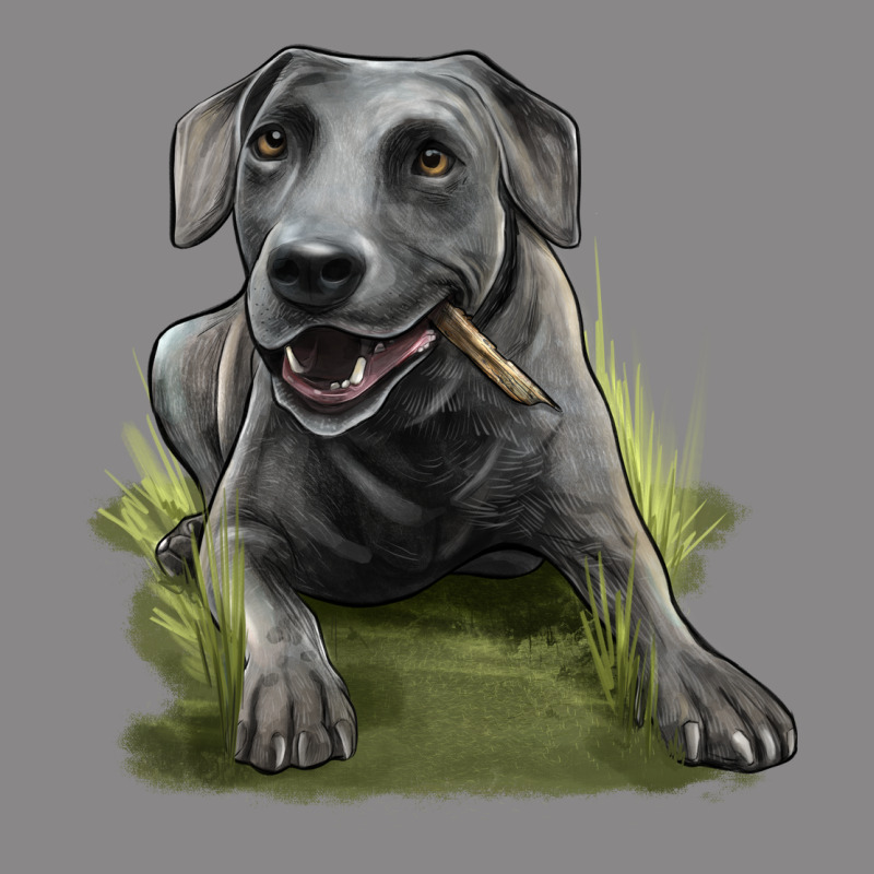 Texas Blue Lacy Dog Vintage Tee by LillyAllenDesigns | Teevron