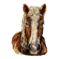 Belgian Horse | Teevron