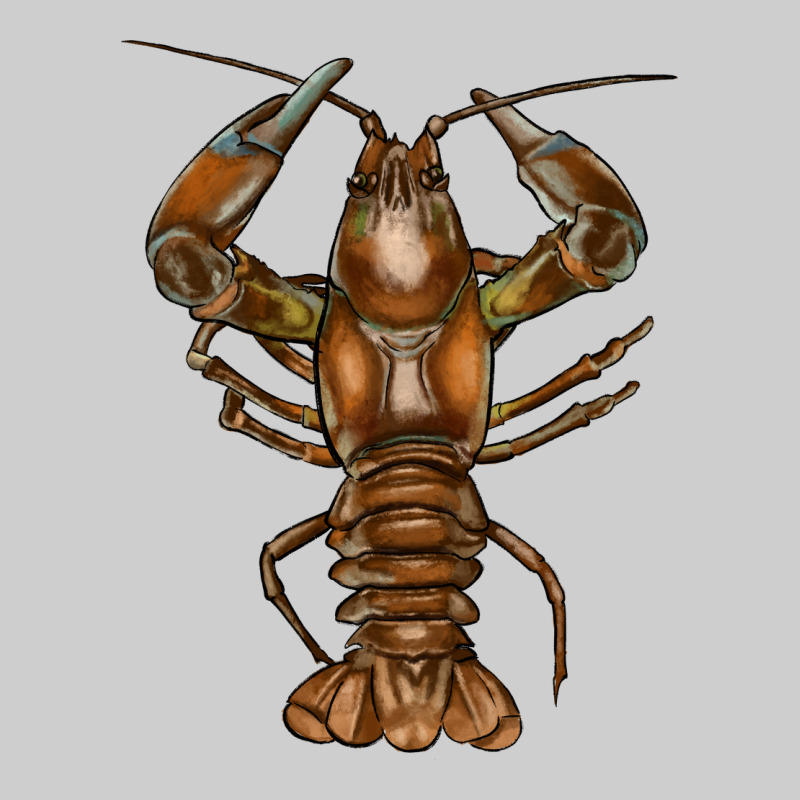 Crawfish Premium Tee by FaDigitalArtStudio | Teevron