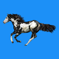 American Paint Horse Classic Tee | Teevron