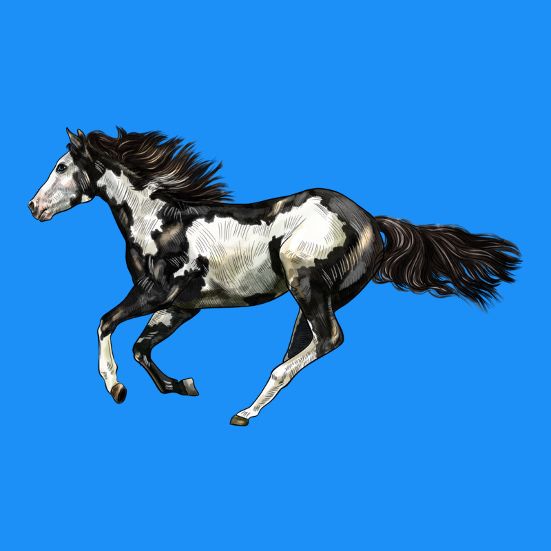 American Paint Horse Classic Tee by LillyAllenDesigns | Teevron
