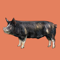 Berkshire Pig Classic Tee | Teevron