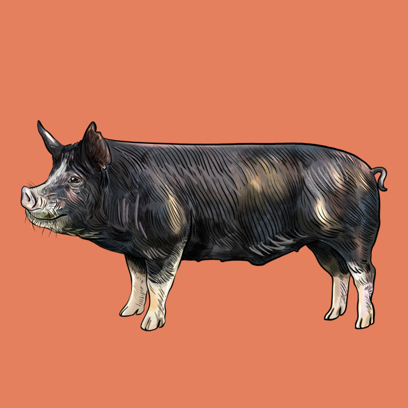 Berkshire Pig Classic Tee by LillyAllenDesigns | Teevron