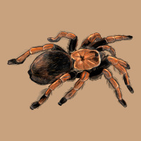 Mexican Red Knee Tarantula Vintage Tee | Teevron