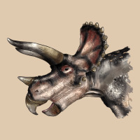 Triceratops Horridus Face Heavyweight Sweatshirt | Teevron