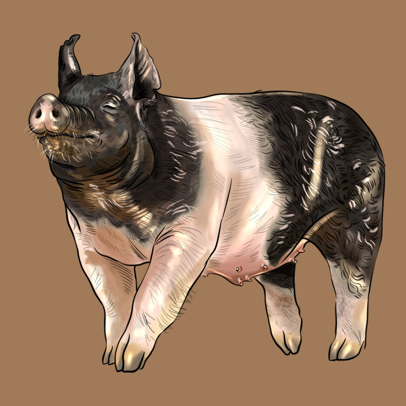 Hampshire Pig Classic Tee by LillyAllenDesigns | Teevron