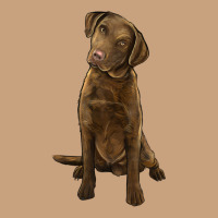 Chesapeake Bay Retriever Vintage Tee | Teevron