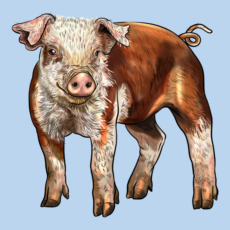 Baby Hereford Pig Classic Tee by LillyAllenDesigns | Teevron