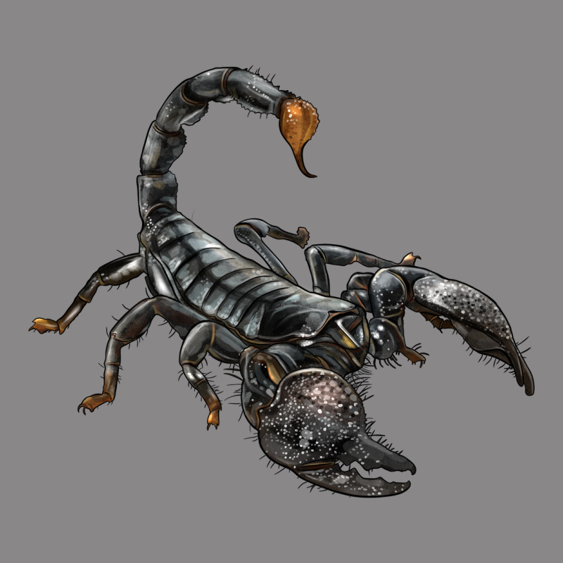 Scorpion Vintage Tee by LillyAllenDesigns | Teevron