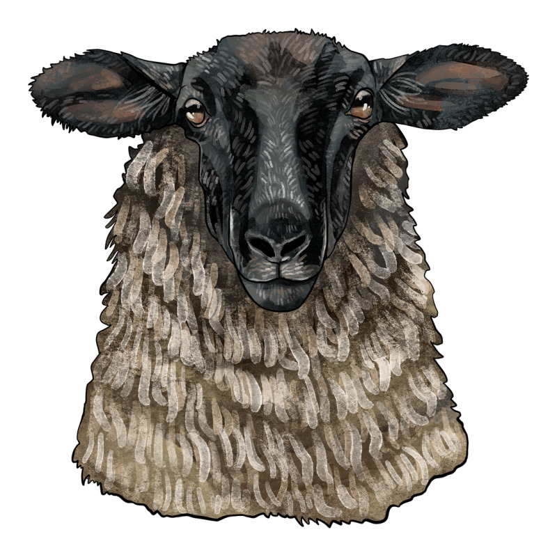 Suffolk Sheep Head Classic Tee by LillyAllenDesigns | Teevron