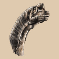 Brachiosaurus Face Heavyweight Sweatshirt | Teevron
