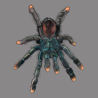 Pink Toe Tarantula Vintage Tee | Teevron