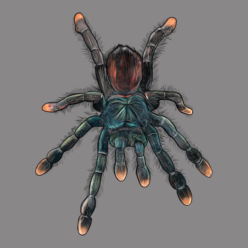 Pink Toe Tarantula Vintage Tee by LillyAllenDesigns | Teevron