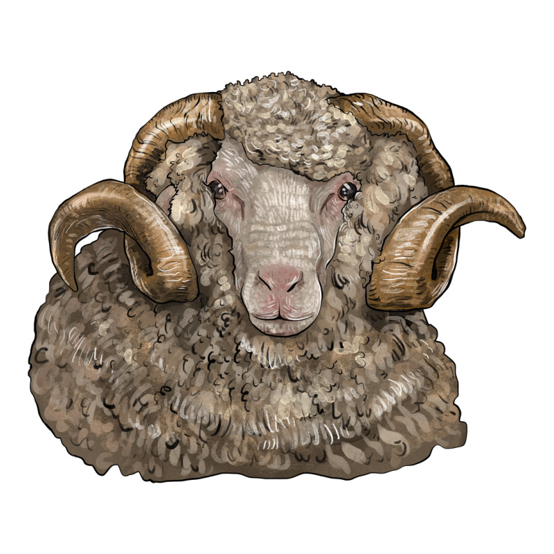 Merino Wool Sheep Head Classic Tee by LillyAllenDesigns | Teevron