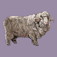 Rambouillet Sheep Classic Tee | Teevron
